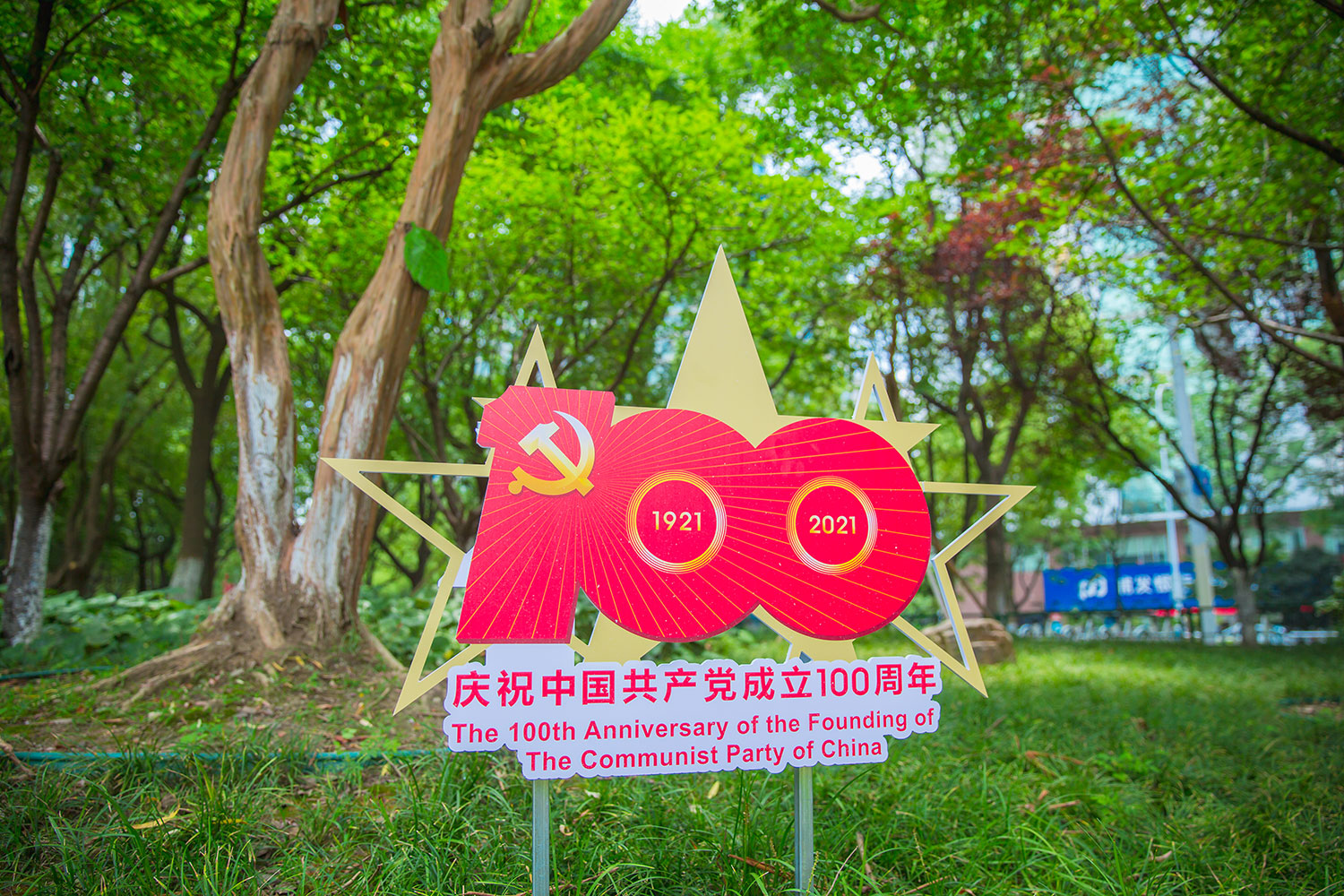 新北区市政绿化管理所公园党建文化布置