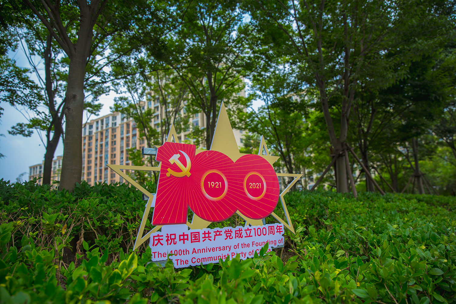 新北区市政绿化管理所公园党建文化布置
